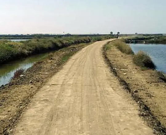 Potensi Wisata Tambak Ikan Desa